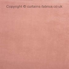 Viewing BELGRAVIA 3833  by PRESTIGIOUS TEXTILES