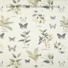 BOTANY 5758 made to measure curtains by PRESTIGIOUS TEXTILES