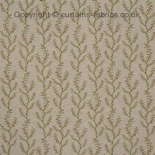 Viewing BOUGHTON 8800 NEW DESIGN by PRESTIGIOUS TEXTILES