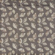 Viewing IMPRINT 3804  by PRESTIGIOUS TEXTILES