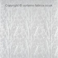 Viewing KIKU 3671 by PRESTIGIOUS TEXTILES