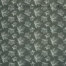 Viewing LINDEN 3917 by PRESTIGIOUS TEXTILES