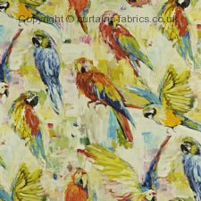 Viewing MACAW 8570 by PRESTIGIOUS TEXTILES