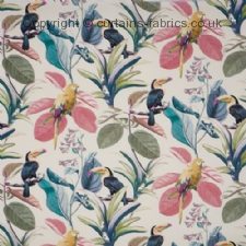 Viewing PARAKEET 2816 NEW DESIGN by PRESTIGIOUS TEXTILES