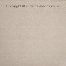 Viewing PERENNIAL 4019 by PRESTIGIOUS TEXTILES