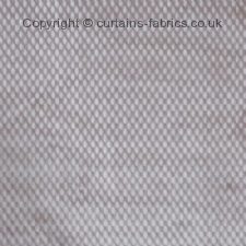 Viewing PLUTO 4032 by PRESTIGIOUS TEXTILES