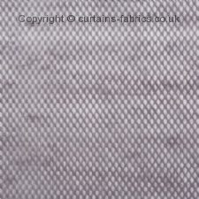 Viewing PLUTO 4032 by PRESTIGIOUS TEXTILES