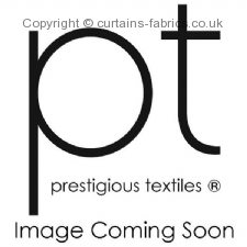 Viewing POPLAR 3959 by PRESTIGIOUS TEXTILES