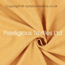 Viewing SAXON 7141 (CHART B) by PRESTIGIOUS TEXTILES