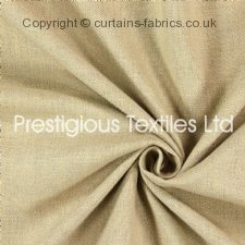 Viewing SAXON 7141 (CHART B) by PRESTIGIOUS TEXTILES