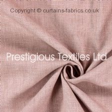 Viewing SAXON 7141 (CHART A) by PRESTIGIOUS TEXTILES