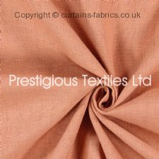 Viewing SAXON 7141 (CHART A) by PRESTIGIOUS TEXTILES