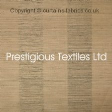 Viewing TRINIDAD 7136  by PRESTIGIOUS TEXTILES