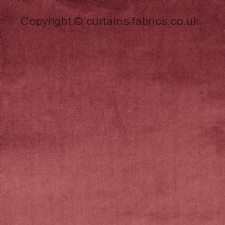 Viewing VELOUR 7150 (CHART A) by PRESTIGIOUS TEXTILES