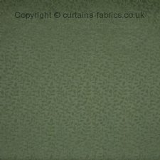 Viewing VINE 4053  by PRESTIGIOUS TEXTILES
