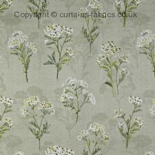 Viewing YARROW 5697 by PRESTIGIOUS TEXTILES