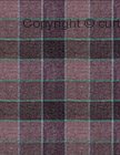 HELMSDALE fabric by RICHARD BARRIE