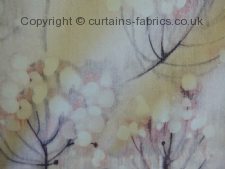 Viewing NEAVE by RICHARD BARRIE