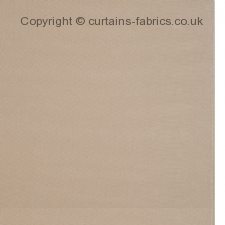 Viewing PANDA by RICHARD BARRIE