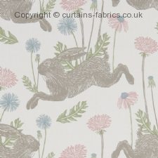 Viewing MARCH HARE F1190 by STUDIO G