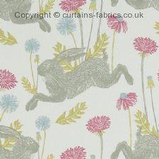 Viewing MARCH HARE F1190 by STUDIO G
