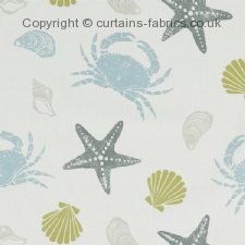 Viewing OFFSHORE F1191 by STUDIO G