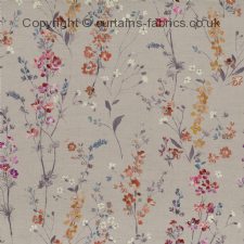 Viewing BRIELLA  by VOYAGE DECORATION
