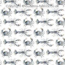 Viewing CRUSTACEANS  by VOYAGE DECORATION