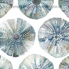 Viewing SEA URCHINS  by VOYAGE DECORATION