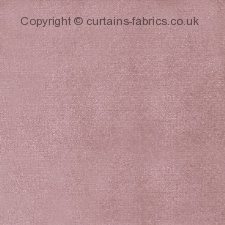 Viewing ZIRCON (CHART A) by VOYAGE DECORATION