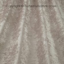 Viewing BALMORAL by iLIV INTERIOR TEXTILES