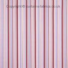 Viewing CANDY STRIPE by iLIV INTERIOR TEXTILES