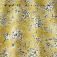 FINCH TOILE roman blinds by iLIV INTERIOR TEXTILES