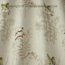 Viewing GOLD FINCH by iLIV INTERIOR TEXTILES