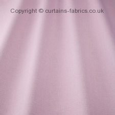 Viewing KENDAL by iLIV INTERIOR TEXTILES