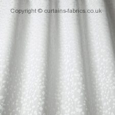 Viewing PIETTA by iLIV INTERIOR TEXTILES