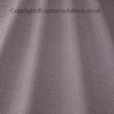 Viewing SONNET by iLIV INTERIOR TEXTILES