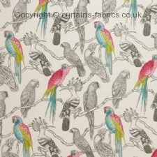 AVIARY roman blinds by iLIV INTERIOR TEXTILES