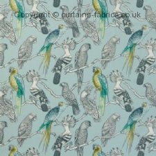 Viewing AVIARY by iLIV INTERIOR TEXTILES