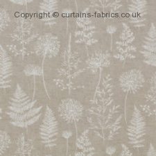 Viewing CHERVIL by iLIV INTERIOR TEXTILES