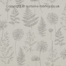 Viewing CHERVIL by iLIV INTERIOR TEXTILES
