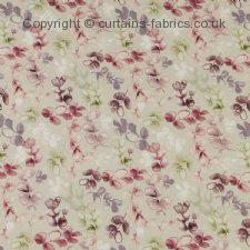 HONOUR  roman blinds by iLIV INTERIOR TEXTILES