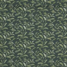 Viewing OASIS by iLIV INTERIOR TEXTILES