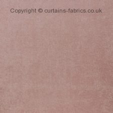 Viewing SAVOY (CHART A) by iLIV INTERIOR TEXTILES
