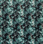 View TEAL