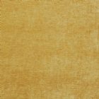 View OCHRE