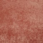 View SPICED CORAL