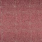 View RASPBERRY