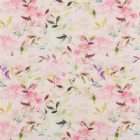 View BLOSSOM