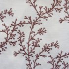 View MAROON BLUSH
